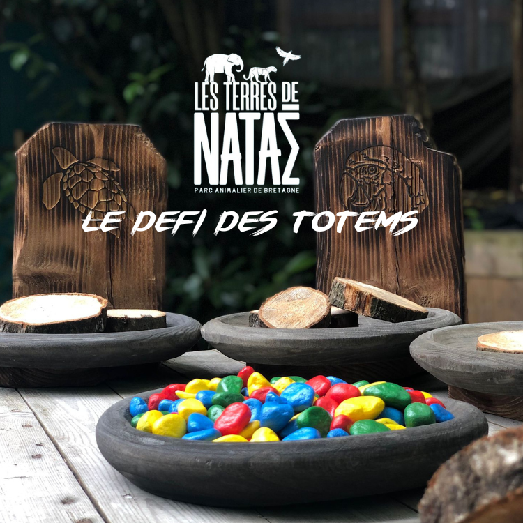 Le défi des Totems